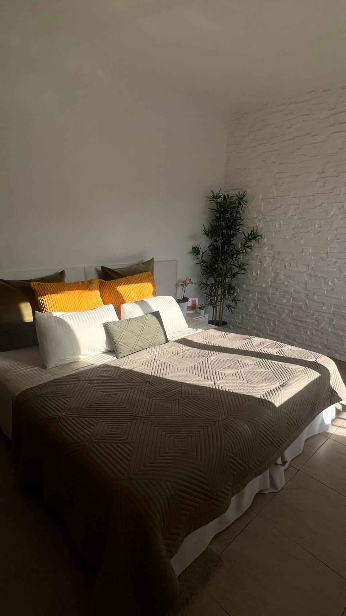 Tenerife Te Espera! Appartement Icod De Los Vinos Buitenkant foto